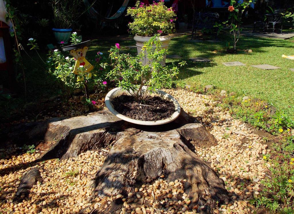 Pousada Cauca 호텔 Ilha Grande  외부 사진